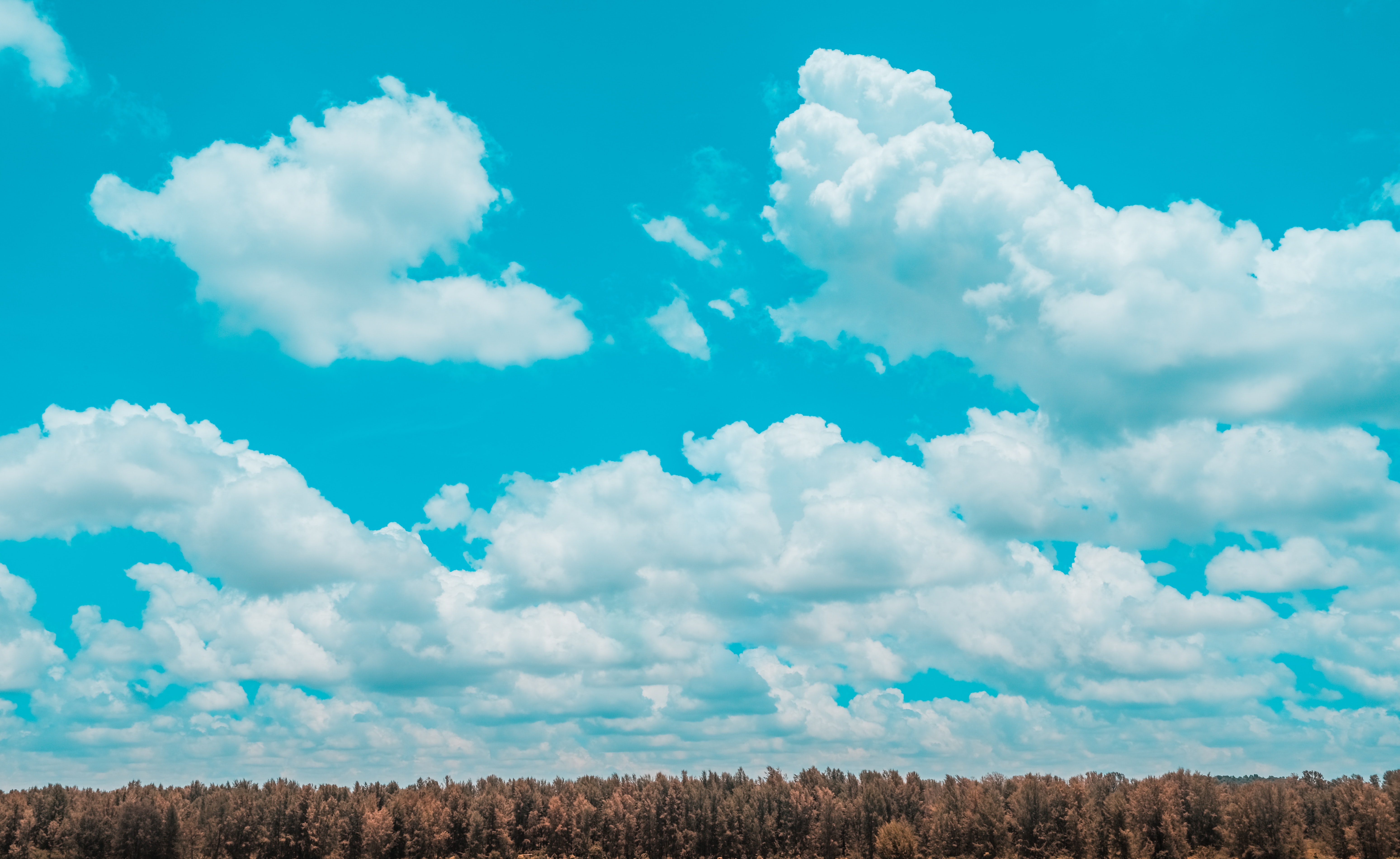 Cloud imskolkata-slider-1